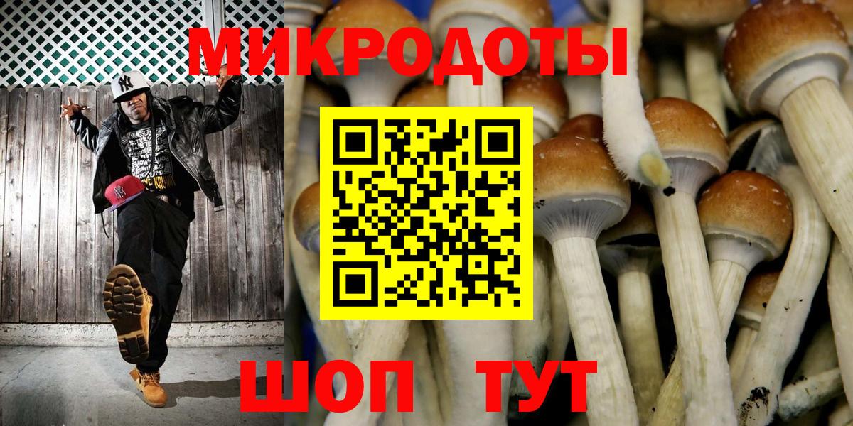 Ульяновск  Псилоцибиновые грибы мухоморы  Псилоцибиновые грибы GOLDEN TEACHER  Вход с VPN 
